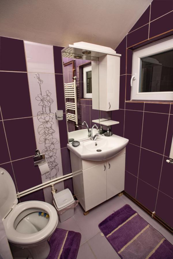 Apartmani Sp Jovanovic Crni Vrh Extérieur photo